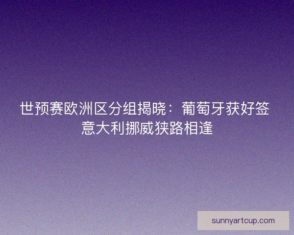 世预赛欧洲区分组揭晓：葡萄牙获好签 意大利挪威狭路相逢