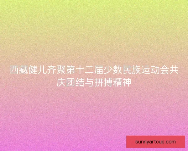 西藏健儿齐聚第十二届少数民族运动会共庆团结与拼搏精神