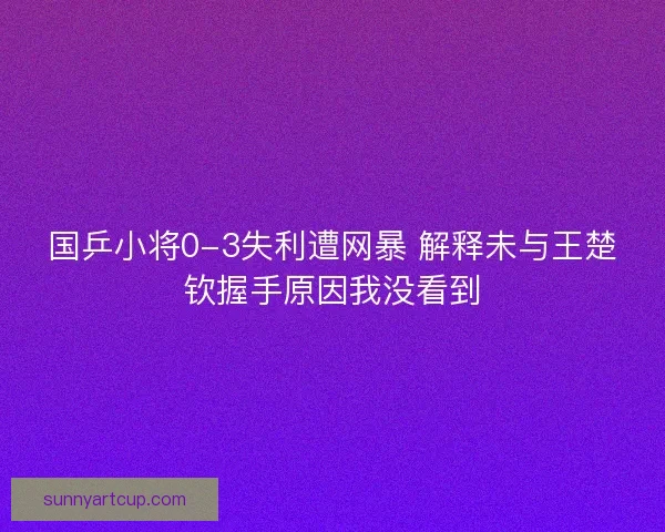 国乒小将0-3失利遭网暴 解释未与王楚钦握手原因我没看到