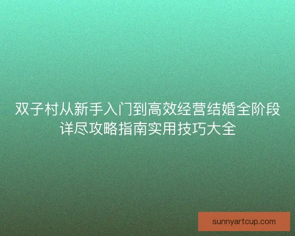 双子村从新手入门到高效经营结婚全阶段详尽攻略指南实用技巧大全