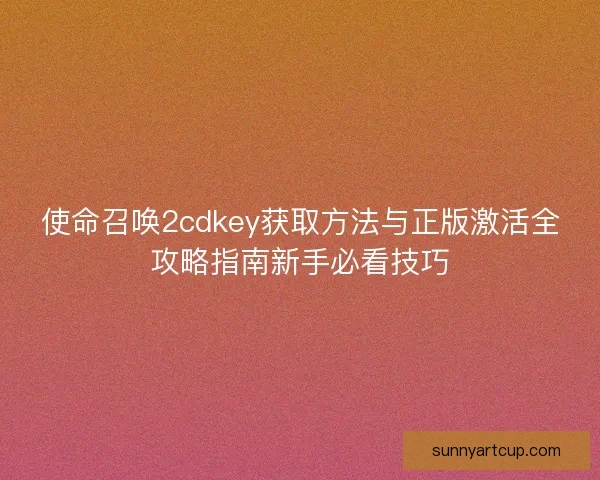 使命召唤2cdkey获取方法与正版激活全攻略指南新手必看技巧