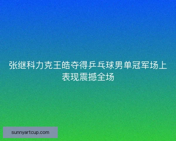 张继科力克王皓夺得乒乓球男单冠军场上表现震撼全场